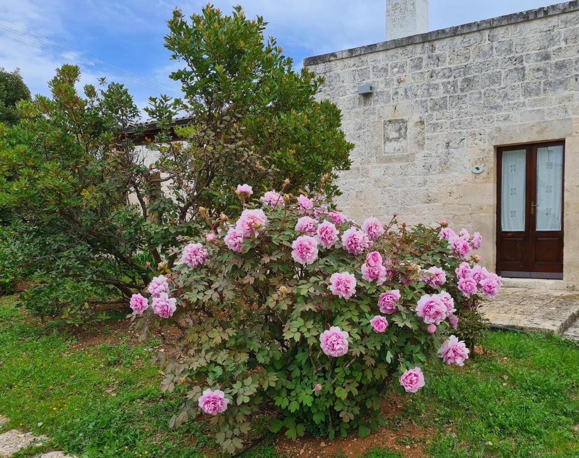 Apartamento Masseria Montecchie Ceglie Messapica Exterior foto