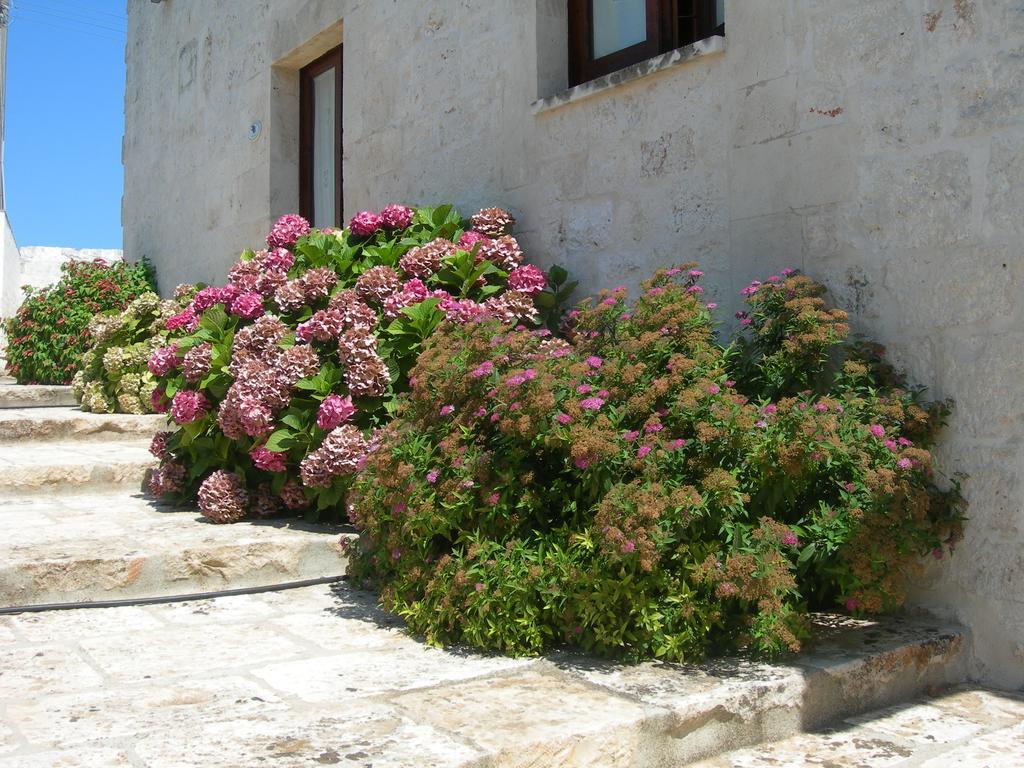 Apartamento Masseria Montecchie Ceglie Messapica Exterior foto