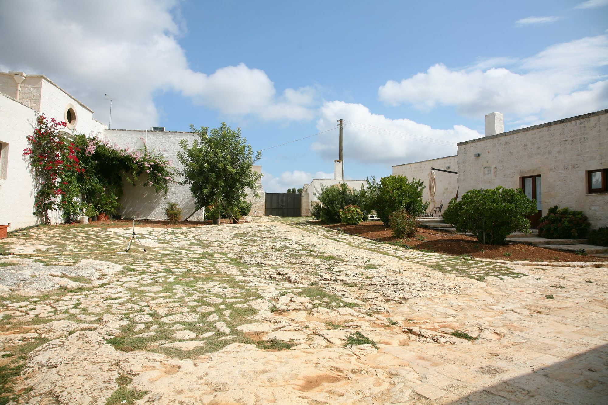 Masseria Montecchie Ceglie Messapica Exterior foto